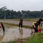 Telkom Call Center 24 Jam Jakarta Barat Kota Jakarta Barat Daerah Khusus Ibukota Jakarta